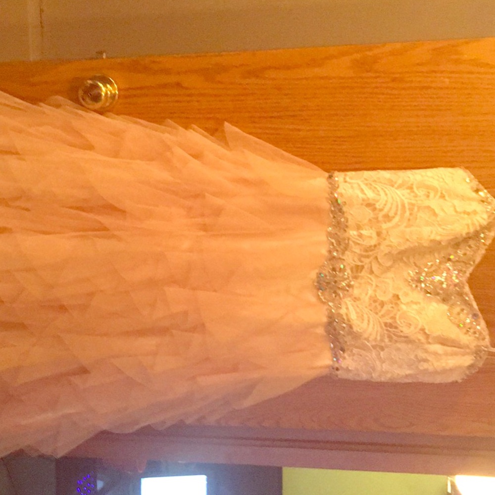 Size 17 Prom/Bridesmaid Dress